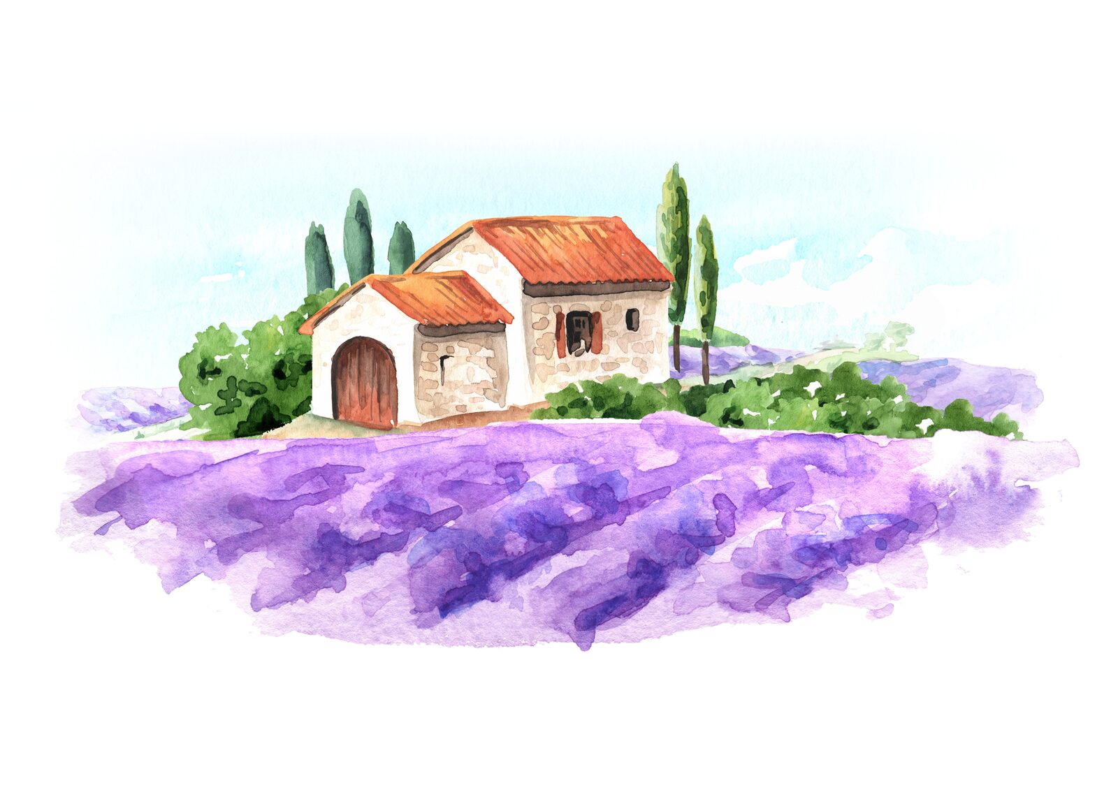 Illustration